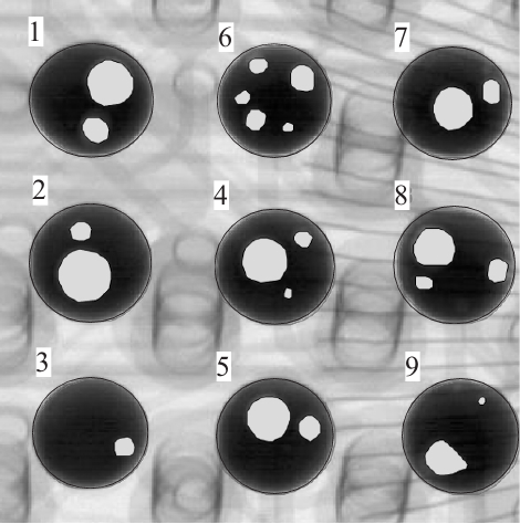BGA焊点图像空洞区域提取结果